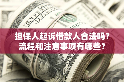 武汉担保人起诉借款人合法吗？流程和注意事项有哪些？