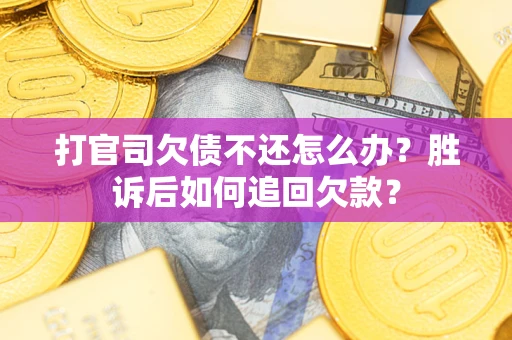 武汉打官司欠债不还怎么办？胜诉后如何追回欠款？