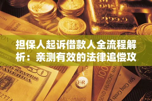 武汉担保人起诉借款人全流程解析：亲测有效的法律追偿攻略