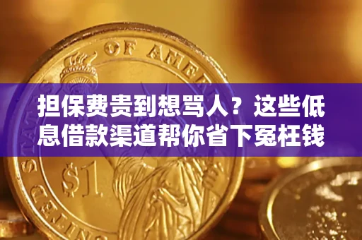 武汉担保费贵到想骂人？这些低息借款渠道帮你省下冤枉钱