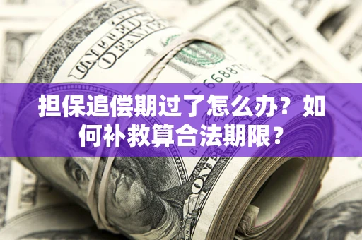 武汉担保追偿期过了怎么办？如何补救算合法期限？