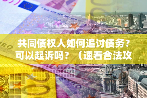 武汉共同债权人如何追讨债务？可以起诉吗？（速看合法攻略）