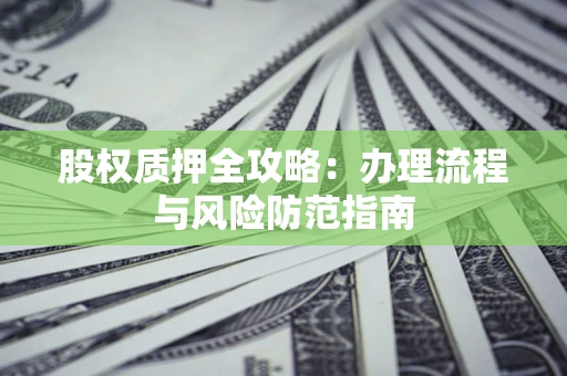 武汉股权质押全攻略：办理流程与风险防范指南