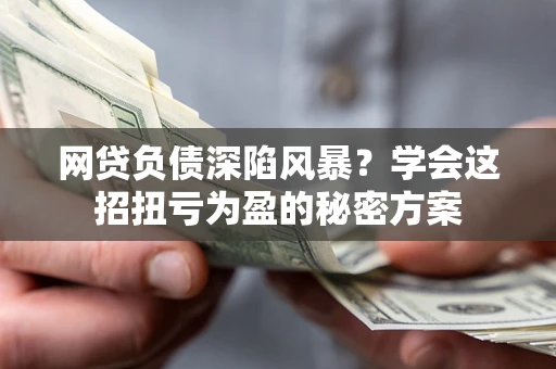 武汉网贷负债深陷风暴？学会这招扭亏为盈的秘密方案