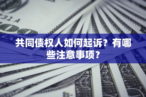 武汉共同债权人如何起诉？有哪些注意事项？